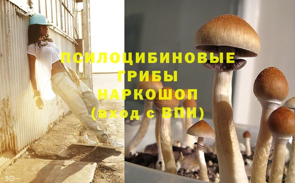 MESCALINE Мегион