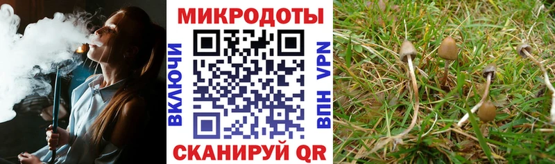 Купить  Полярный  Галлюциногенные грибы GOLDEN TEACHER 